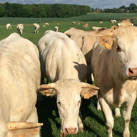 Walincourt-selvigny, 3 Pieces, 4 Personnes - Fr-1-510-15 بيت للعطل *